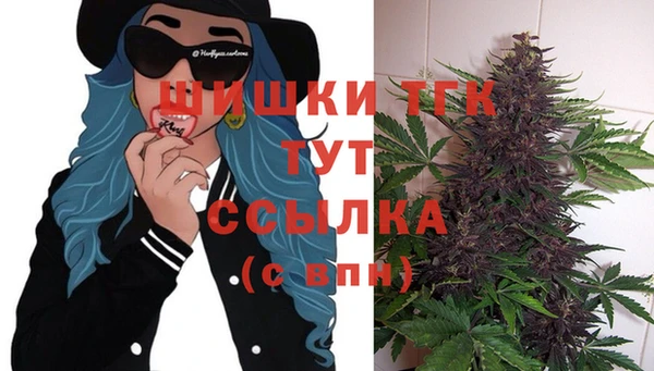 гидропоника Нея