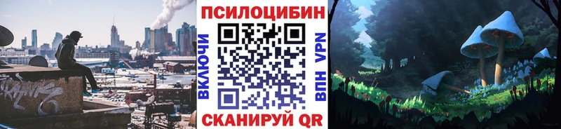 Псилоцибиновые грибы прущие грибы  Кольчугино 
