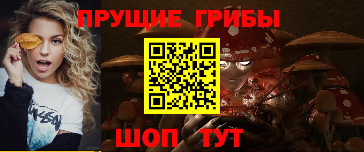 Галлюциногенные грибы Magic Shrooms Кольчугино