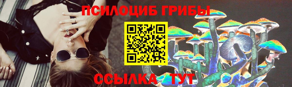 Кольчугино  Псилоцибиновые грибы GOLDEN TEACHER  сколько стоит  Псилоцибиновые грибы ЛСД  Вход с VPN 
